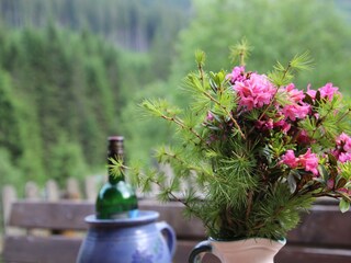 IMG_8845