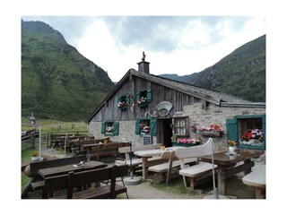 Pension-Lothringerhof-Dorfgastein-Schareckalm