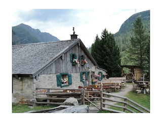 Pension-Lothringerhof-Dorfgastein-Schareckalm