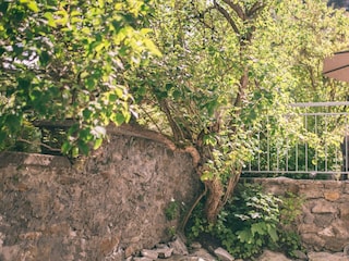 Haus Nefer, Bad Gastein
