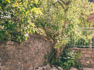 Haus Nefer, Bad Gastein