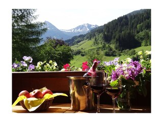 Zittrauerhof-Bad-Hofgastein-Apt-Panorama