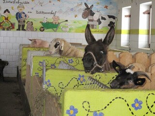 Zittrauerhof-Bad-Hofgastein-Neuer Kinderstall