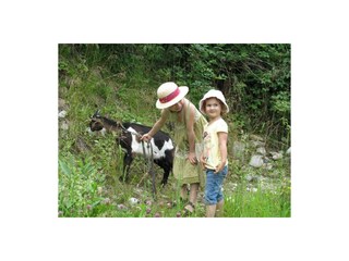 Zittrauerhof-Bad-Hofgastein-Ziegentrekking