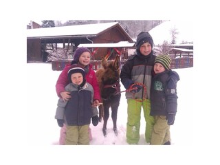 Zittrauerhof-Bad-Hofgastein-Angelina unsere Eselin