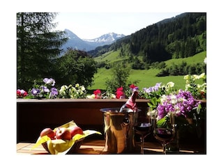 Zittrauerhof-Bad-Hofgastein-Panorama-Aussicht