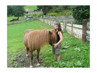 Zittrauerhof-Bad-Hofgastein-Islandpferde
