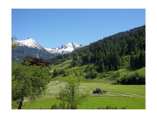 Zittrauerhof-Bad-Hofgastein-Aussicht vom Hof
