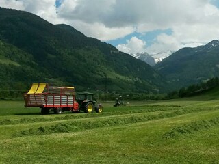 Zittrauerhof-Bad-Hofgastein-Eintauchen ins Bauernh