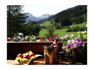 Zittrauerhof-Bad-Hofgastein-Panorama-Aussicht
