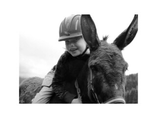 Zittrauerhof-Bad-Hofgastein-ReitenaufAngelina