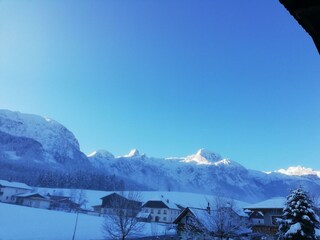 Ausblick