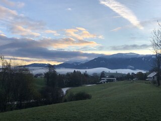IMG_1658