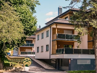 Frida im Sommer (groß)-3