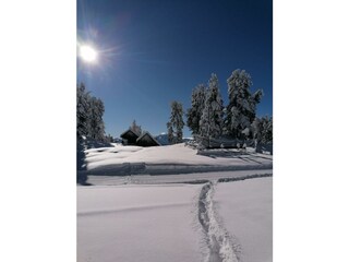 Winterbild
