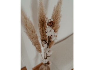 Fjell_AliceHolzfeind-61