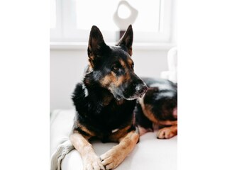 Fjell_AliceHolzfeind-136