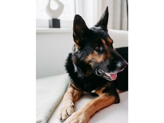 Fjell_AliceHolzfeind-134