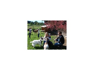 Reisslerhof Apartments bymyNests Bauernhof farm br