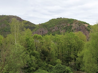 20240428123219_IMG_0117