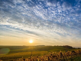 landscape-1025436_1920
