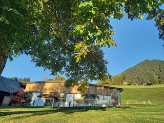 Eindrücke vom Feuerlehof