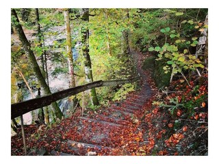 Stiege Donnersbachklamm