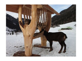 Das schmeckt aber gut