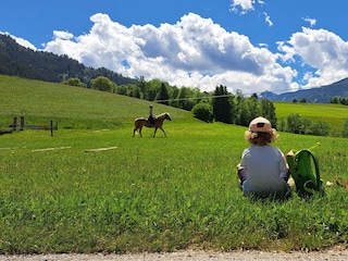 Ausblick am Hof genießen