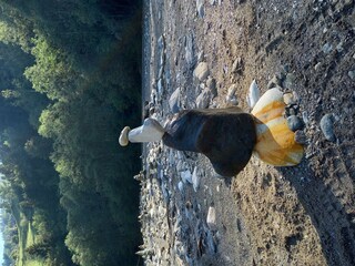 Steintürme am Ufer des Donnersbaches