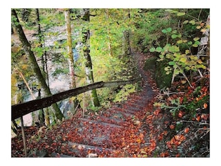 Stiege Donnersbachklamm