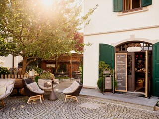 AW_TAUROA_KRENN_24_P0058969