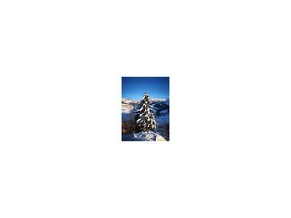 Winter-02-18-1