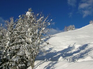 Weihnachten 2005 005