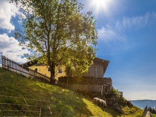 20170622_ElmaugutAussen_126-HDR