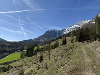 IMG_0297