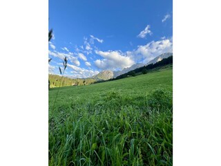 IMG_7232