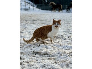 IMG_2503