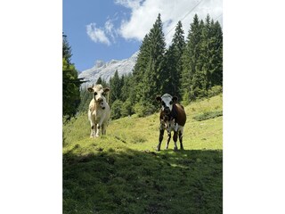 IMG_8066