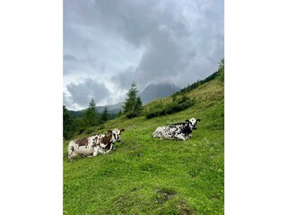 IMG_4314
