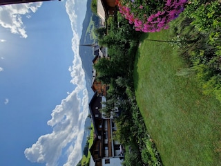 20260811_151929
