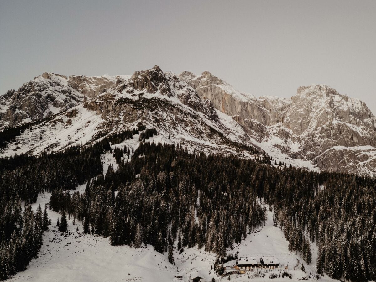 20241212-Birgkar-23