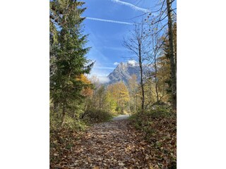 Herbst in Hinterthal