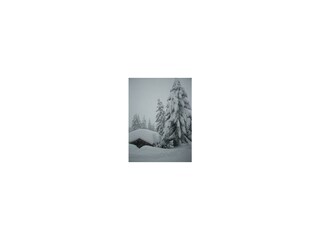schneereich