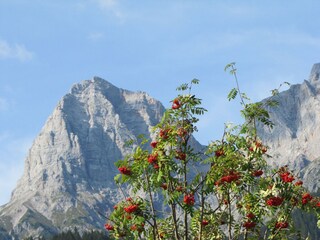 Selbhorn-Vogelbeeren