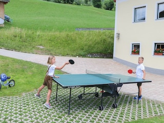 erlebnisbauernhof-salzburg-muehlbach-ferien-0295
