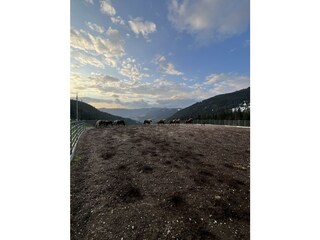 IMG_6553