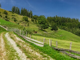 _DSC7741