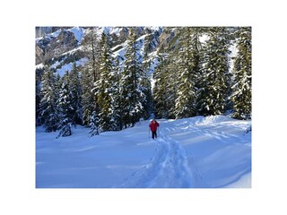 Schneeschuh wandern 2
