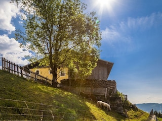 20170622_ElmaugutAussen_126-HDR